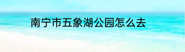 南宁市五象湖公园怎么去