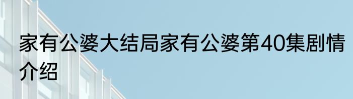 家有公婆大结局家有公婆第40集剧情介绍