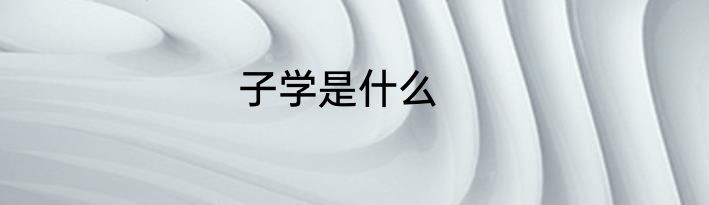 子学是什么