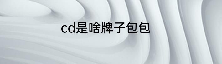 cd是啥牌子包包