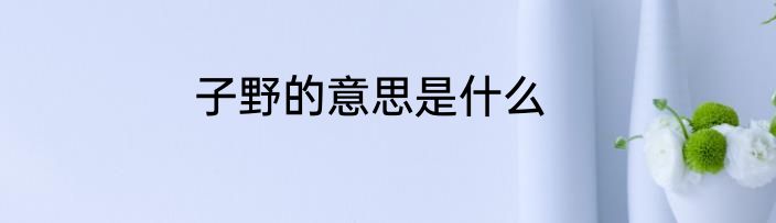子野的意思是什么
