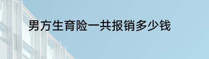 男方生育险一共报销多少钱