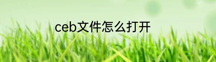 ceb文件怎么打开