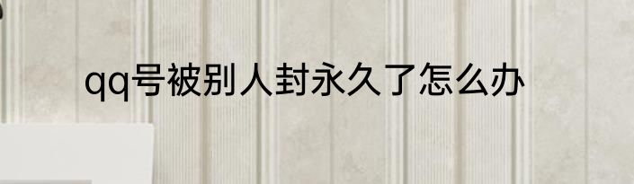 qq号被别人封永久了怎么办
