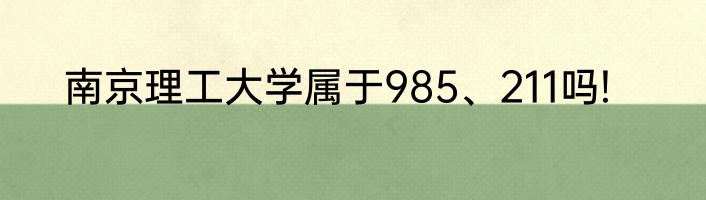 南京理工大学属于985、211吗!