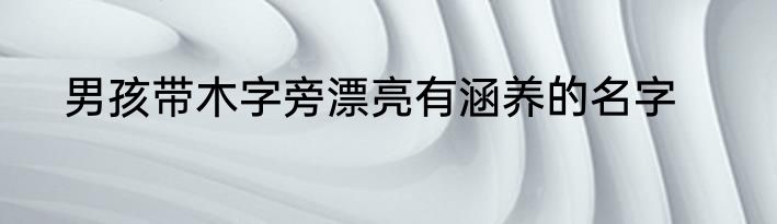 男孩带木字旁漂亮有涵养的名字