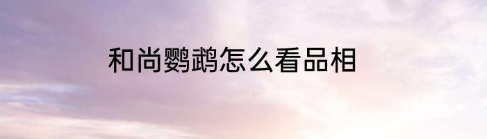 和尚鹦鹉怎么看品相