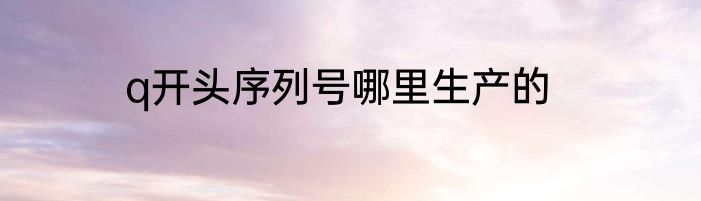 q开头序列号哪里生产的