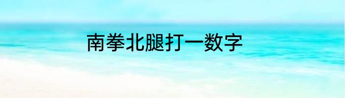 南拳北腿打一数字