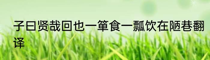 子曰贤哉回也一箪食一瓢饮在陋巷翻译
