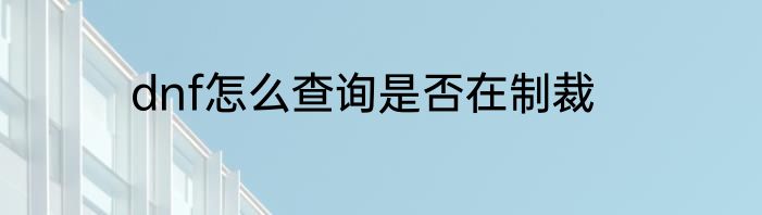 dnf怎么查询是否在制裁