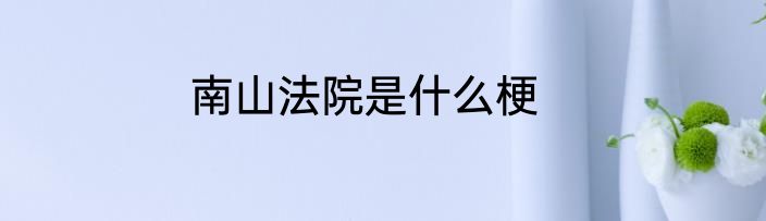 南山法院是什么梗