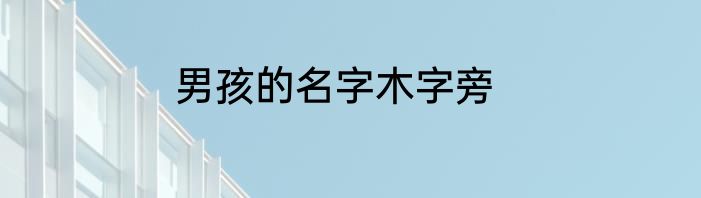 男孩的名字木字旁