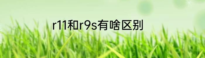r11和r9s有啥区别