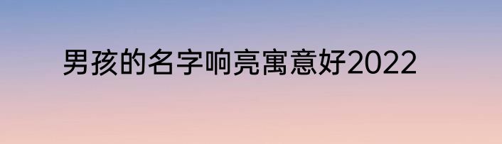 男孩的名字响亮寓意好2022
