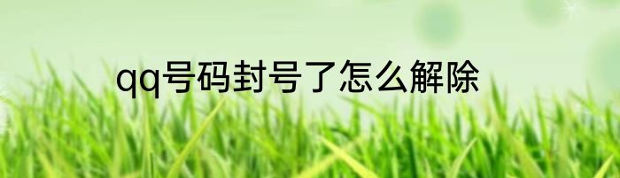 qq号码封号了怎么解除