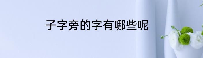 子字旁的字有哪些呢