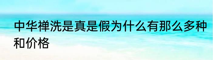 中华禅洗是真是假为什么有那么多种和价格