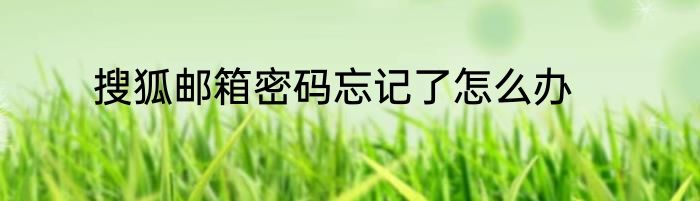 搜狐邮箱密码忘记了怎么办