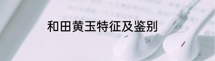 和田黄玉特征及鉴别