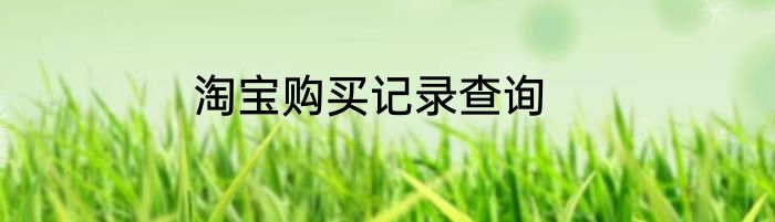 淘宝购买记录查询