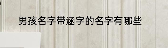 男孩名字带涵字的名字有哪些