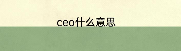 ceo什么意思