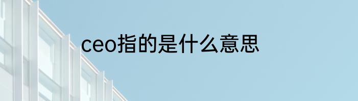 ceo指的是什么意思