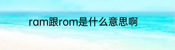 ram跟rom是什么意思啊
