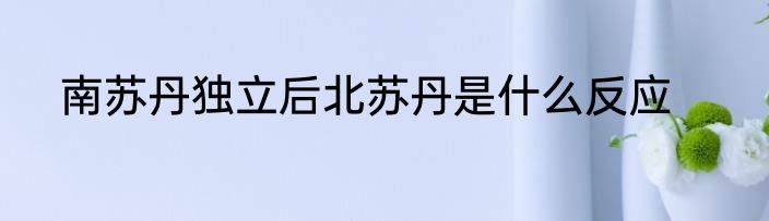 南苏丹独立后北苏丹是什么反应