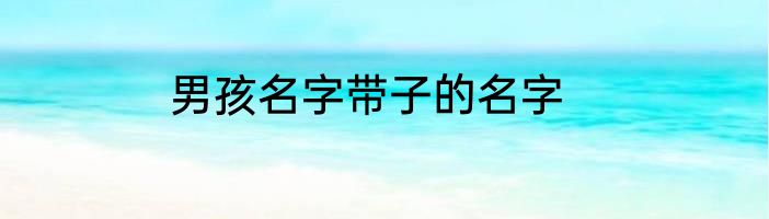 男孩名字带子的名字