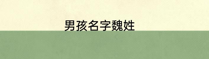 男孩名字魏姓