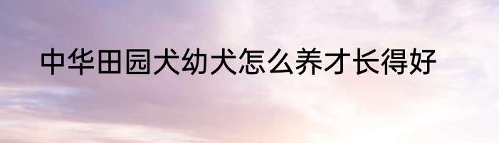 中华田园犬幼犬怎么养才长得好