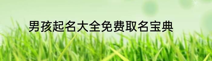 男孩起名大全免费取名宝典