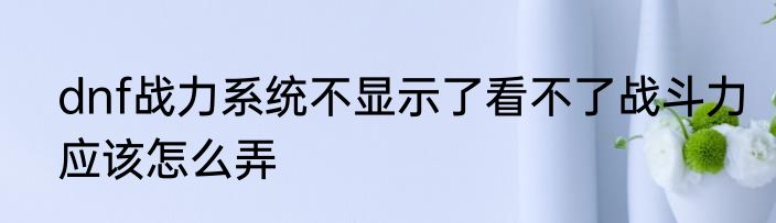 dnf战力系统不显示了看不了战斗力应该怎么弄