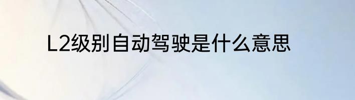 L2级别自动驾驶是什么意思