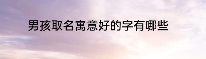 男孩取名寓意好的字有哪些