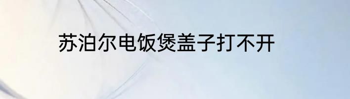 苏泊尔电饭煲盖子打不开
