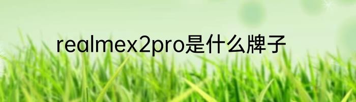 realmex2pro是什么牌子