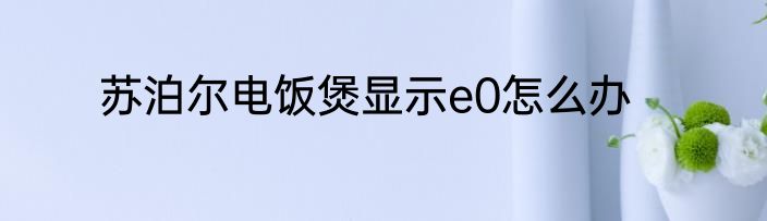 苏泊尔电饭煲显示e0怎么办