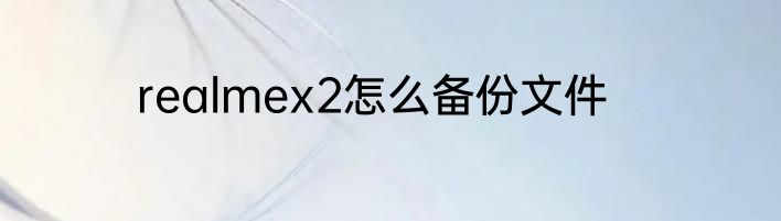 realmex2怎么备份文件