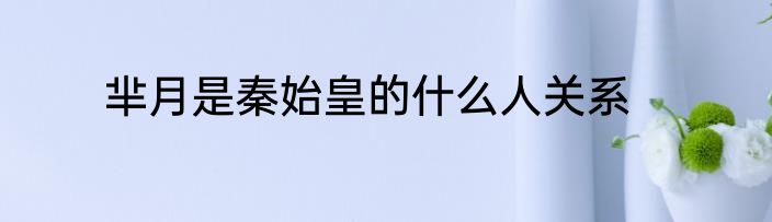 芈月是秦始皇的什么人关系
