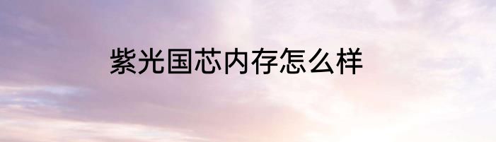 紫光国芯内存怎么样