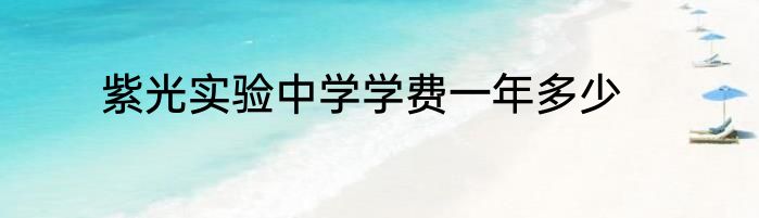 紫光实验中学学费一年多少