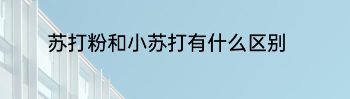 苏打粉和小苏打有什么区别