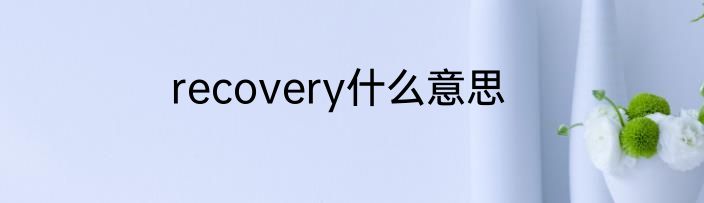 recovery什么意思
