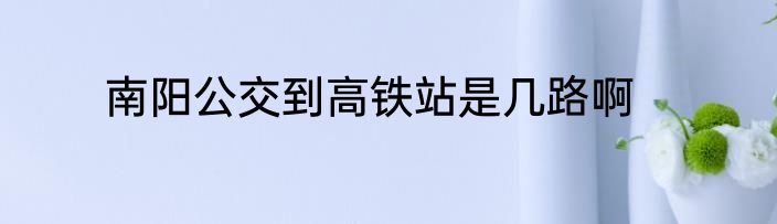 南阳公交到高铁站是几路啊