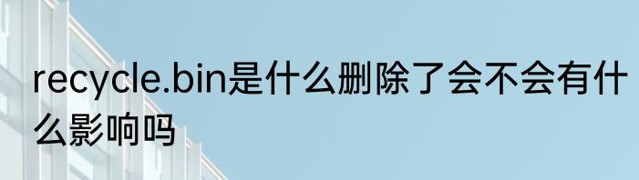 recycle.bin是什么删除了会不会有什么影响吗