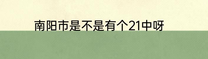 南阳市是不是有个21中呀