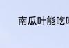 南瓜叶能吃吗功效与作用介绍
